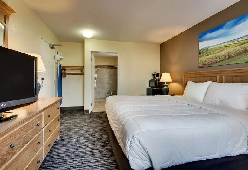 酒店 Everspring Inn & Suites