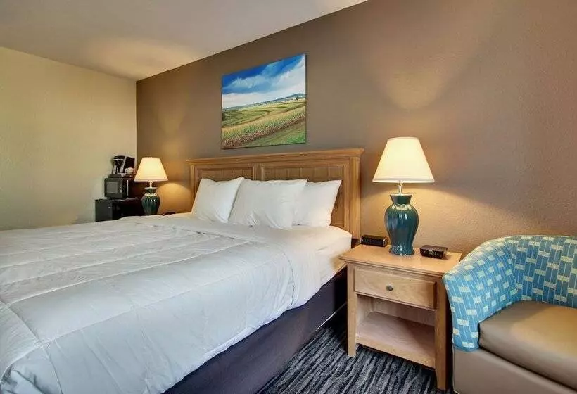 酒店 Everspring Inn & Suites