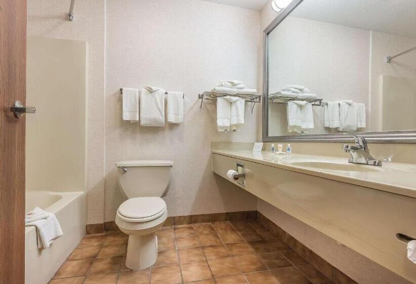 ホテル Fairbridge Inn & Suites Batavia  Darien Amusement Park