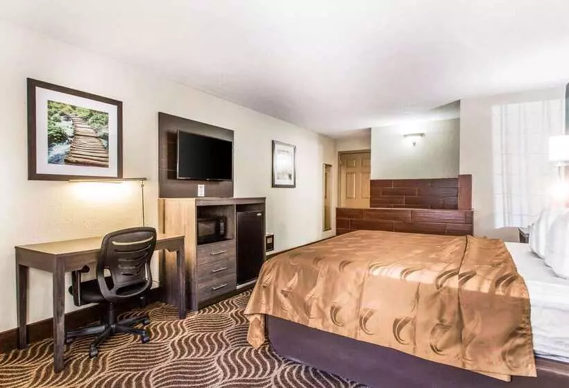 Отель Quality Inn Black Mountain Asheville East