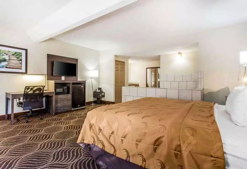 Отель Quality Inn Black Mountain Asheville East