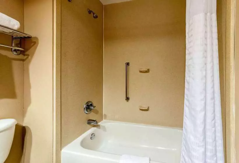 Отель Quality Inn