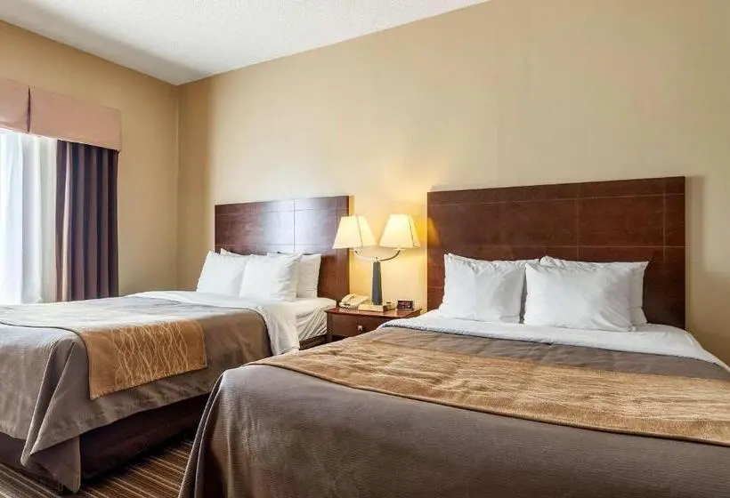 ホテル Quality Inn Clarksdale
