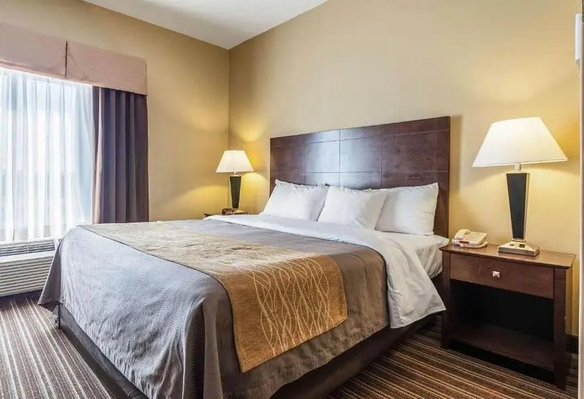 ホテル Quality Inn Clarksdale