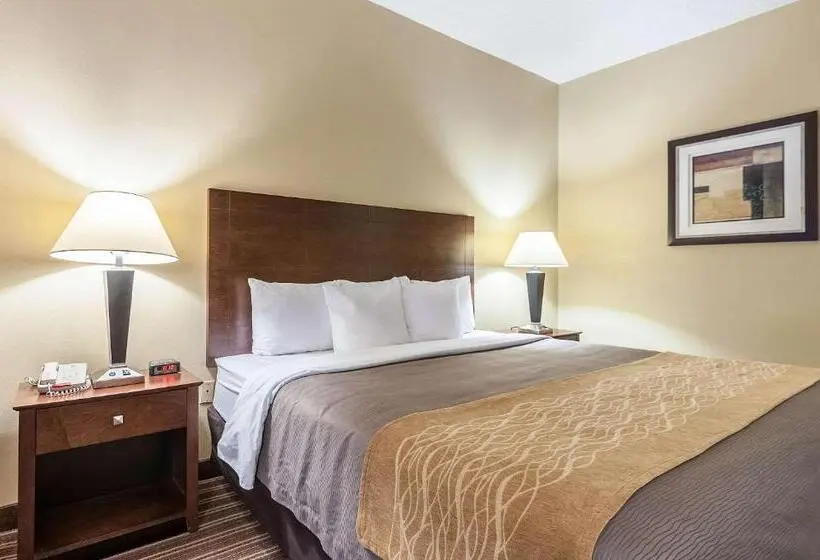ホテル Quality Inn Clarksdale