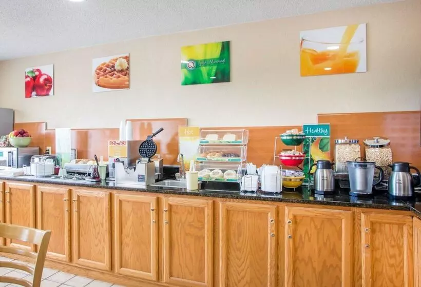 酒店 Quality Inn Ottawa Near Starved Rock State Park