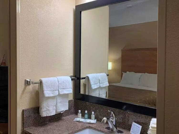 酒店 Quality Inn Ottawa Near Starved Rock State Park