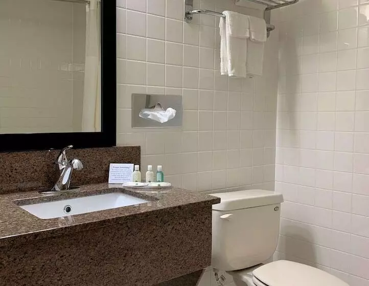 酒店 Quality Inn Ottawa Near Starved Rock State Park