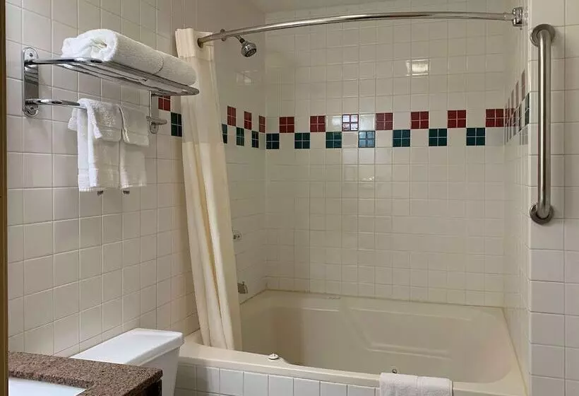 酒店 Quality Inn Ottawa Near Starved Rock State Park