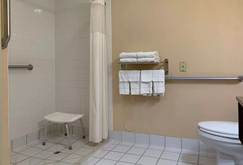 酒店 Quality Inn Ottawa Near Starved Rock State Park