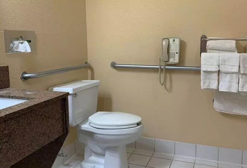 酒店 Quality Inn Ottawa Near Starved Rock State Park