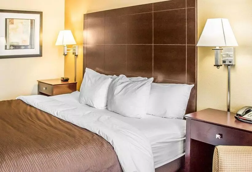 Отель Quality Inn & Suites