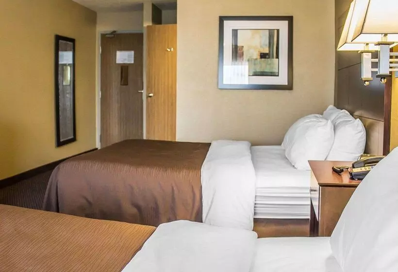 Отель Quality Inn & Suites