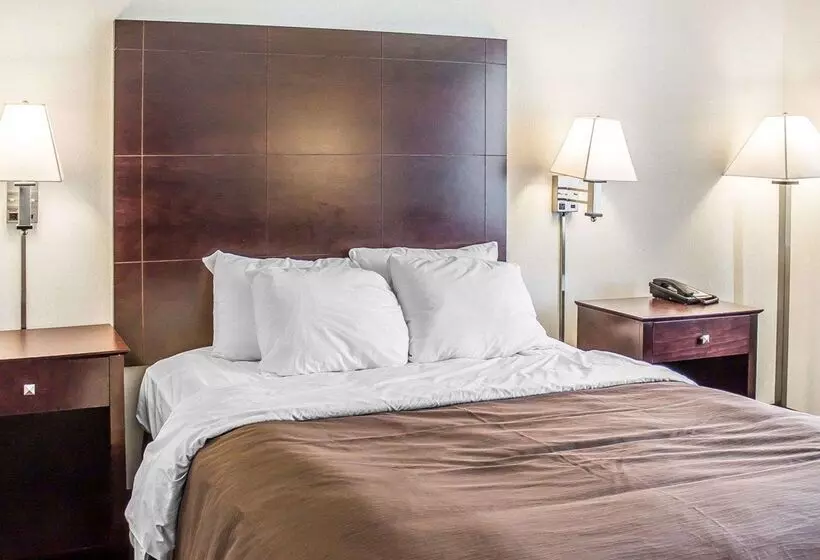Отель Quality Inn & Suites