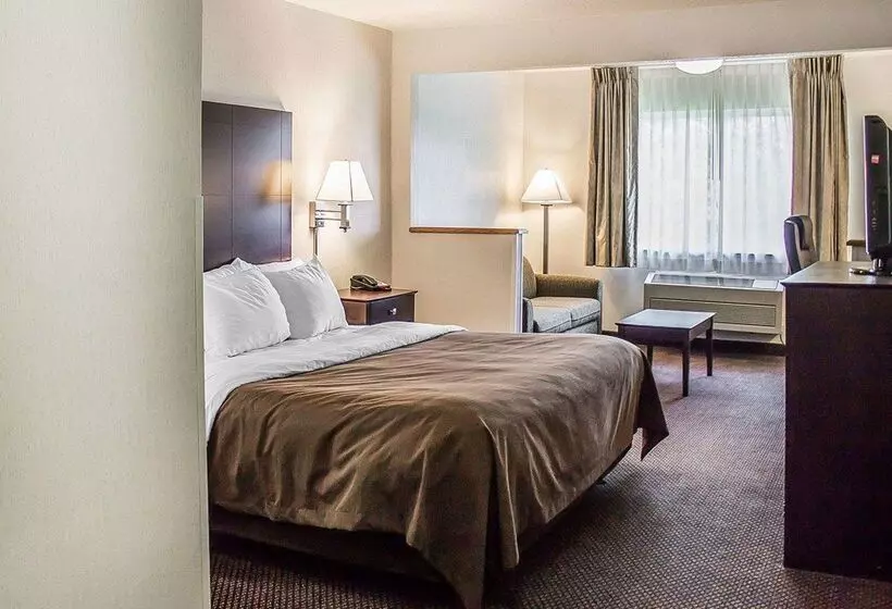 Отель Quality Inn & Suites