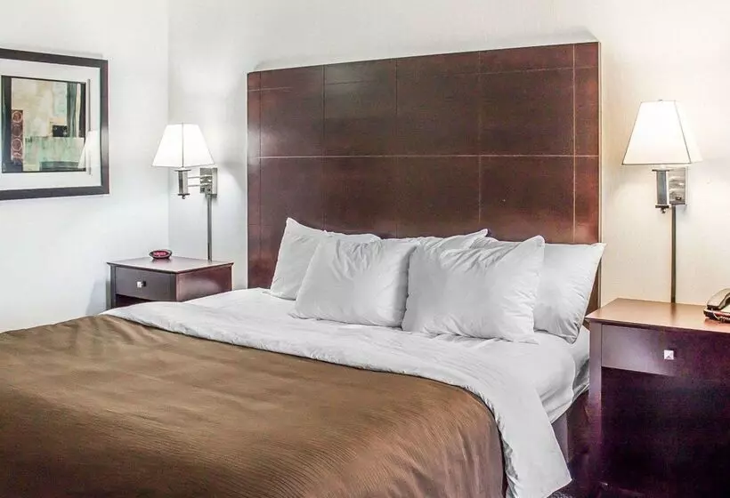 Отель Quality Inn & Suites