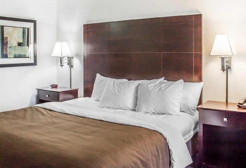 فندق Quality Inn & Suites