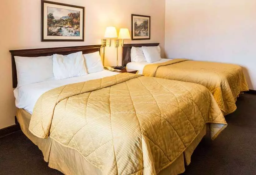 Отель Rodeway Inn