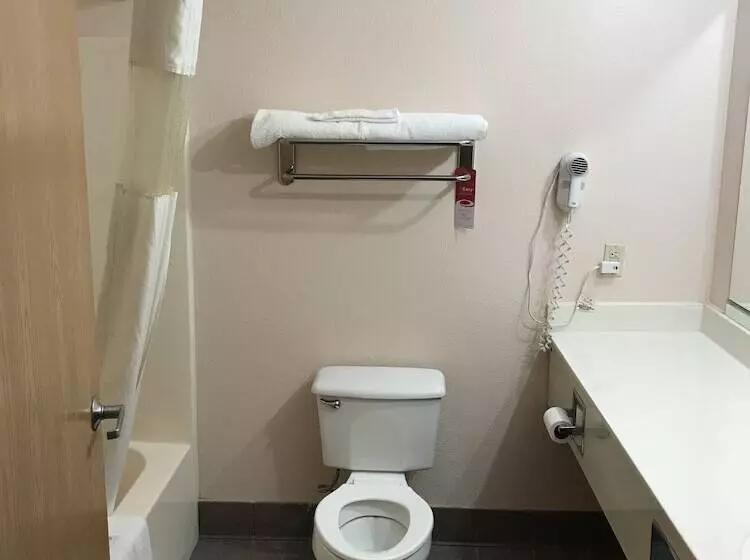 Отель Rodeway Inn