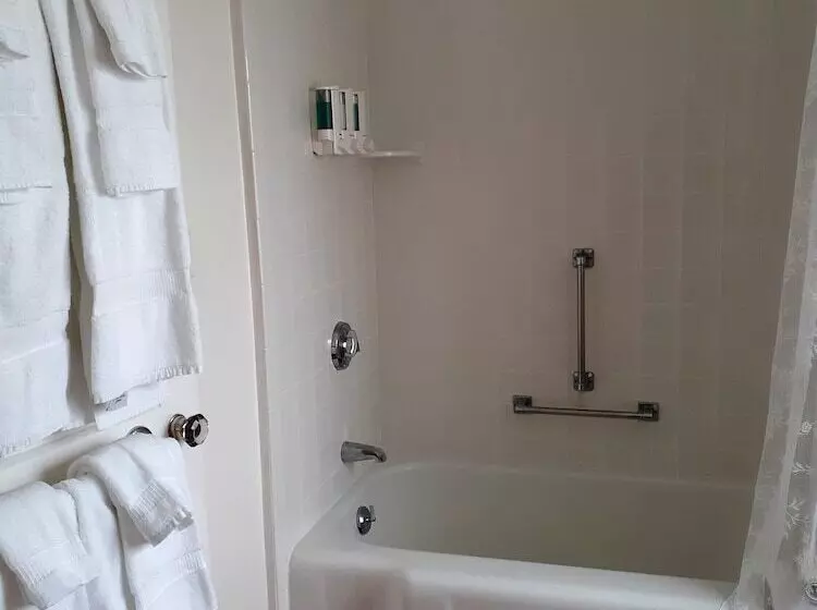 ホテル The Colony