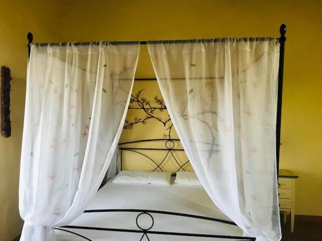 فندق Bucca Di Mola Turismo Rurale San Gaetano