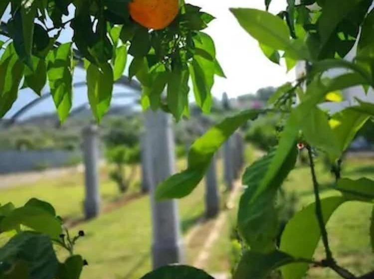 Hotel Puglia Garden