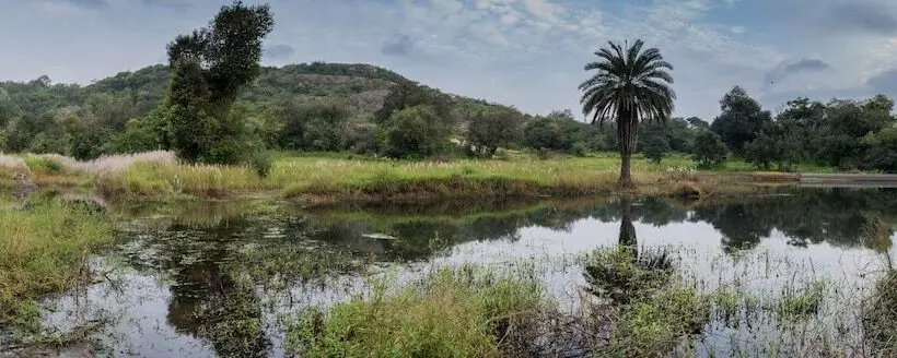 ホテル Wordsworth Lodge