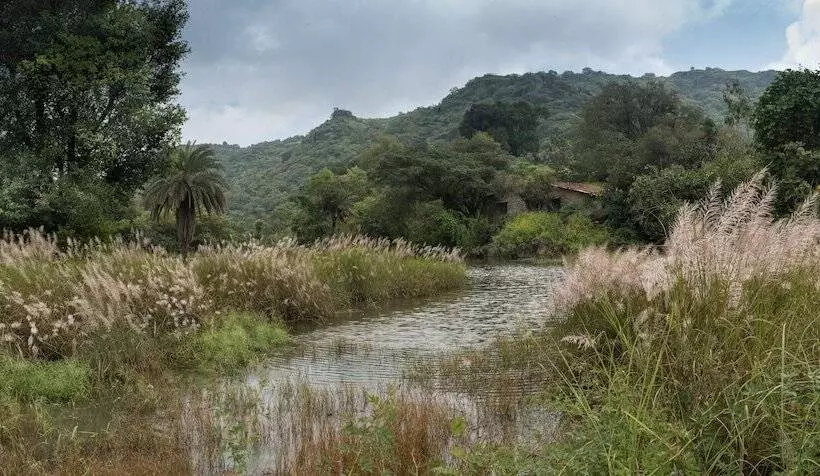 ホテル Wordsworth Lodge