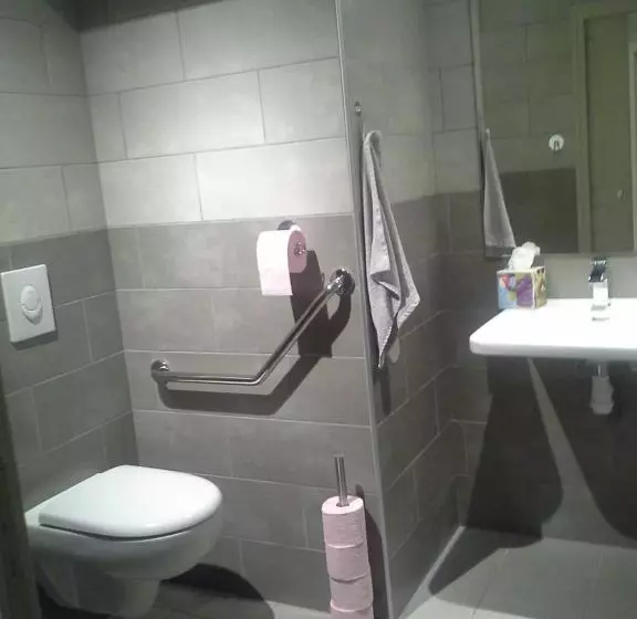 Hotelli Logis Hôtel Le Cor D Argent