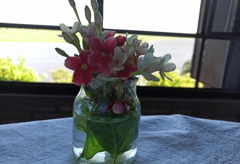 فندق La Usina Vieja