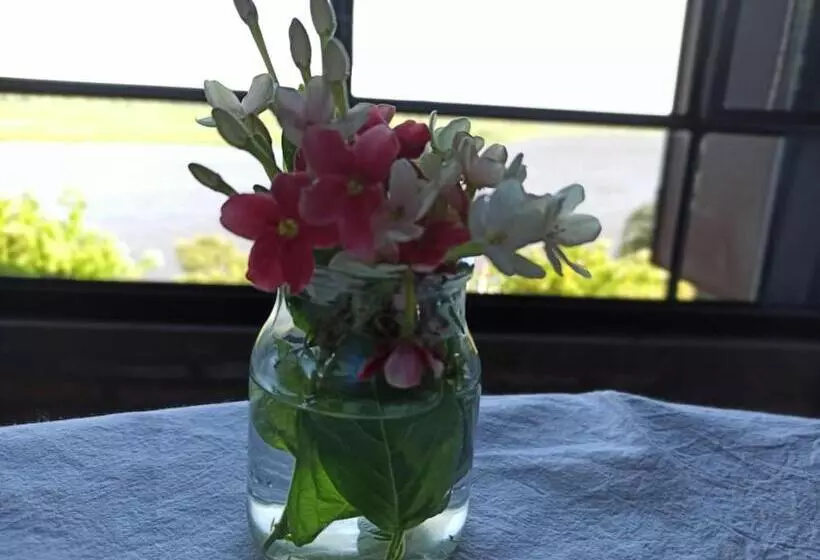 ホテル La Usina Vieja