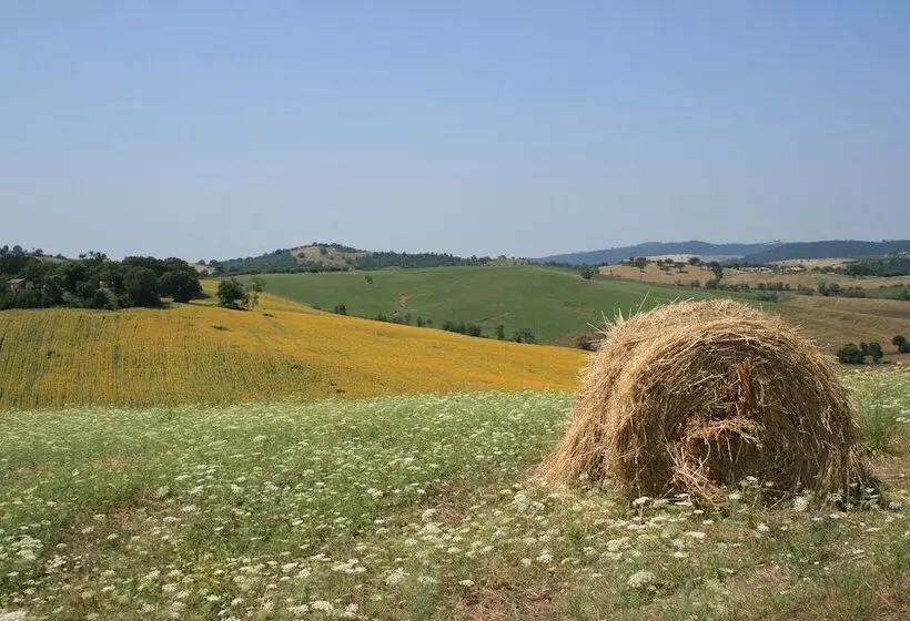 ホテル Podere Maremma Spa & Ristorante