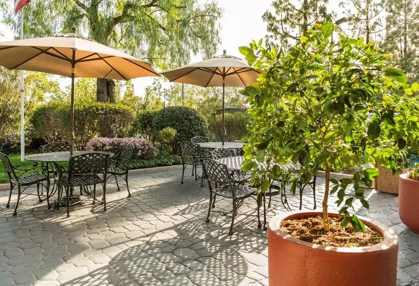 Отель Ayres Lodge Alpine