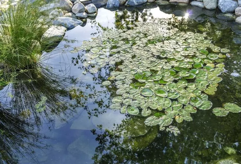 Отель Ayres Lodge Alpine