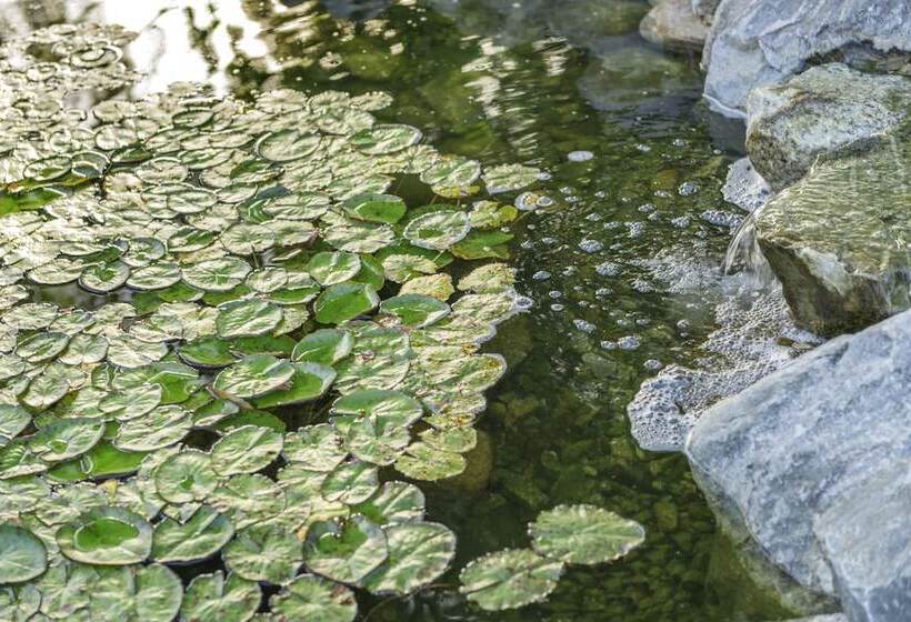 酒店 Ayres Lodge Alpine