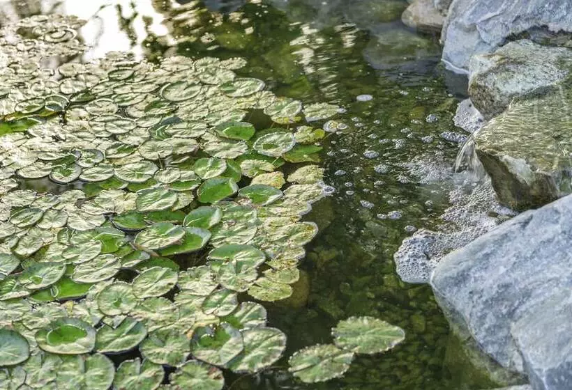 Отель Ayres Lodge Alpine