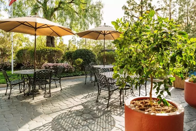 Отель Ayres Lodge Alpine