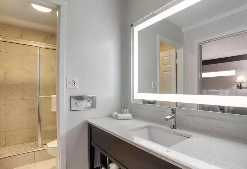 酒店 Baymont By Wyndham Montgomery Al