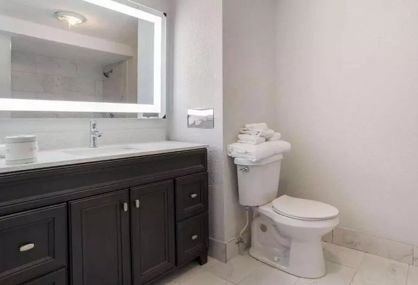 酒店 Baymont By Wyndham Montgomery Al