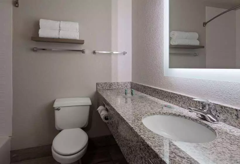 هتل Best Western Eau Claire South