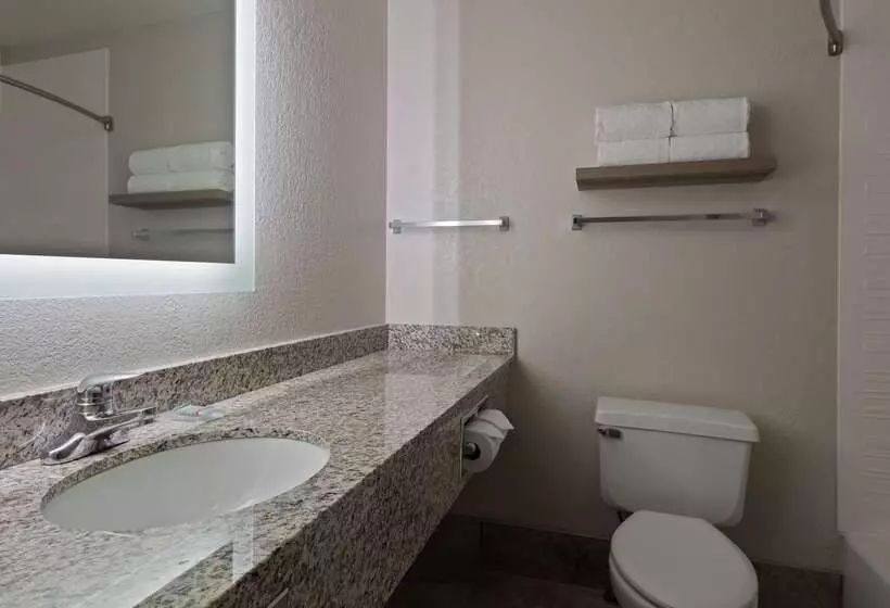 هتل Best Western Eau Claire South