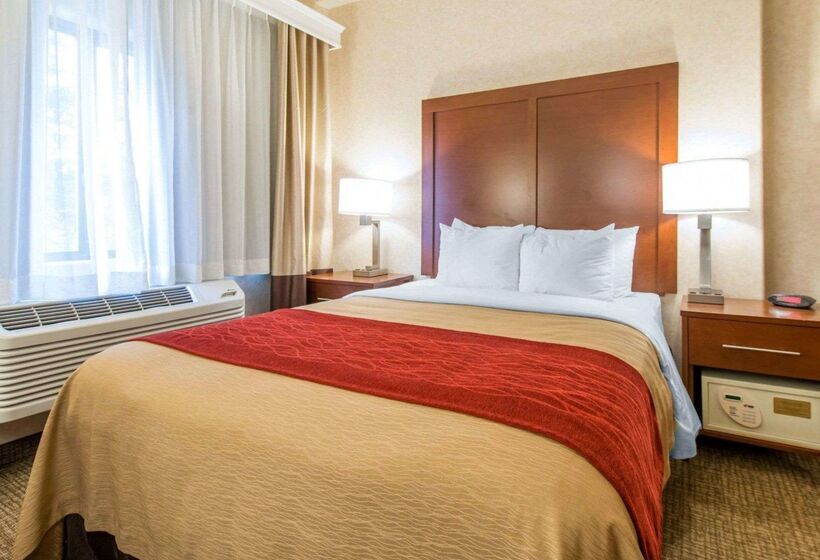 هتل Comfort Inn North Air Force Academy Area