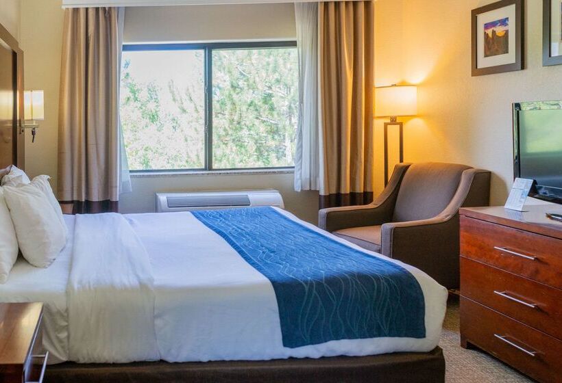 هتل Comfort Inn North Air Force Academy Area