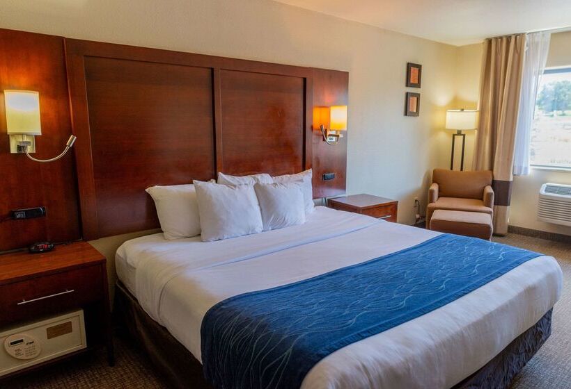 هتل Comfort Inn North Air Force Academy Area
