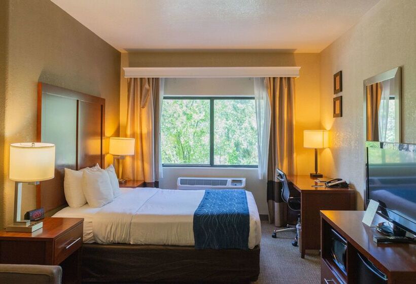 هتل Comfort Inn North Air Force Academy Area