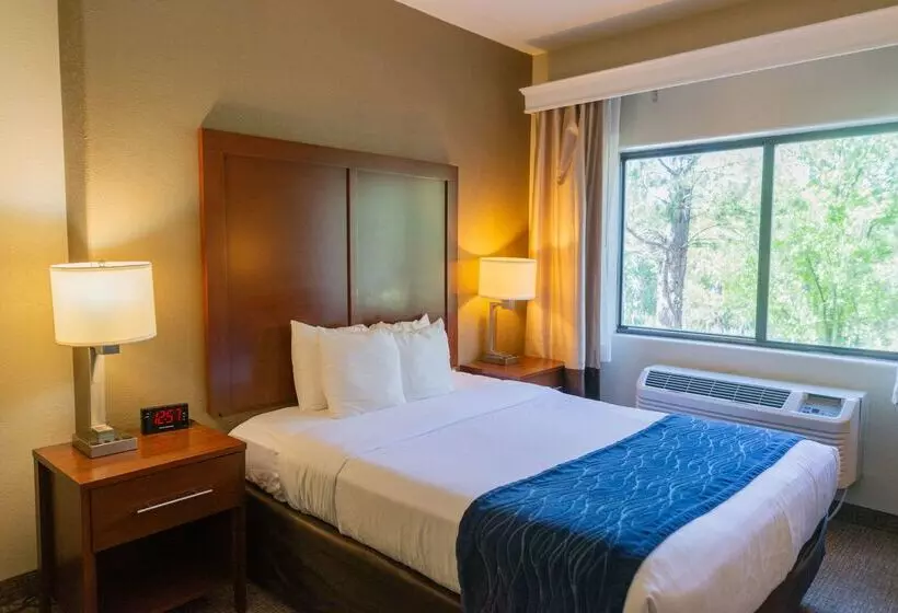 ホテル Comfort Inn North  Air Force Academy Area