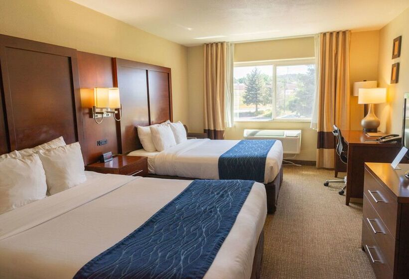 هتل Comfort Inn North Air Force Academy Area