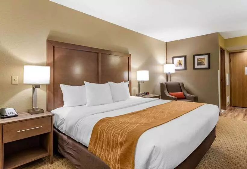 ホテル Comfort Inn Sedalia Station