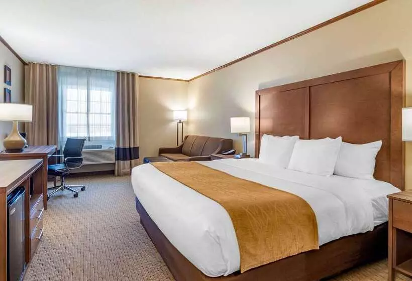 ホテル Comfort Inn Sedalia Station