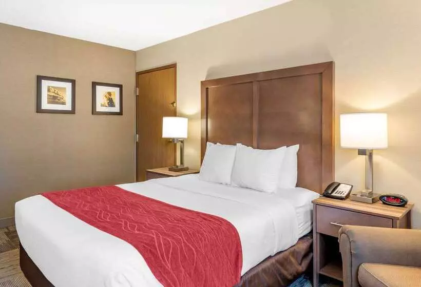 ホテル Comfort Inn Sedalia Station